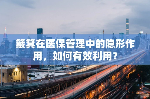 簸箕在医保管理中的隐形作用，如何有效利用？