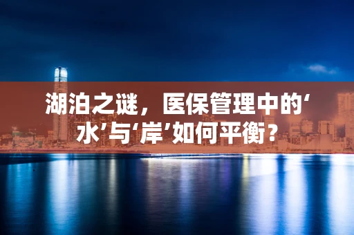 湖泊之谜，医保管理中的‘水’与‘岸’如何平衡？