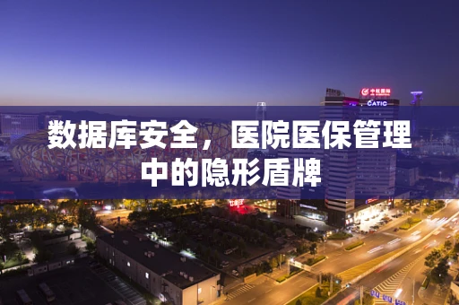 数据库安全，医院医保管理中的隐形盾牌