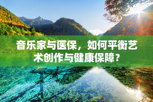 音乐家与医保，如何平衡艺术创作与健康保障？