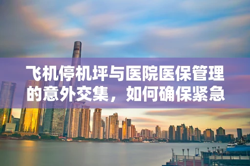 飞机停机坪与医院医保管理的意外交集，如何确保紧急医疗服务的无缝对接？