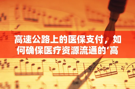 高速公路上的医保支付，如何确保医疗资源流通的‘高速’与‘安全’？