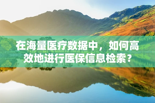 在海量医疗数据中，如何高效地进行医保信息检索？