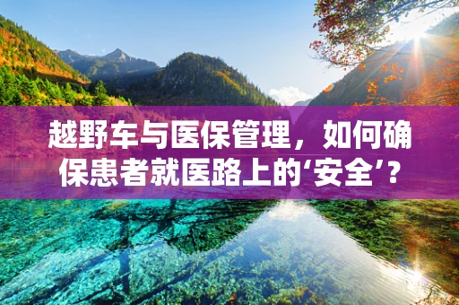 越野车与医保管理，如何确保患者就医路上的‘安全’？