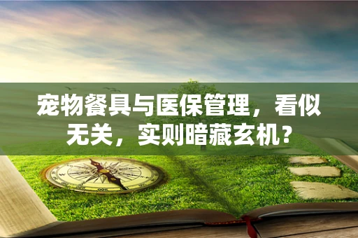 宠物餐具与医保管理，看似无关，实则暗藏玄机？