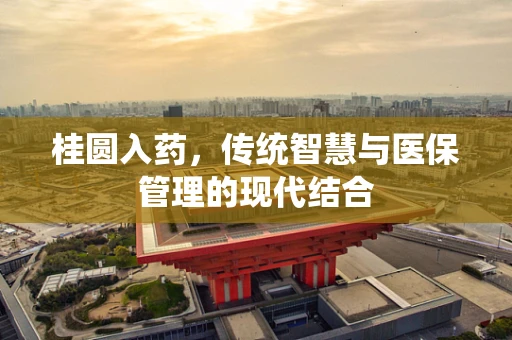 桂圆入药，传统智慧与医保管理的现代结合