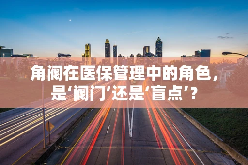 角阀在医保管理中的角色，是‘阀门’还是‘盲点’？