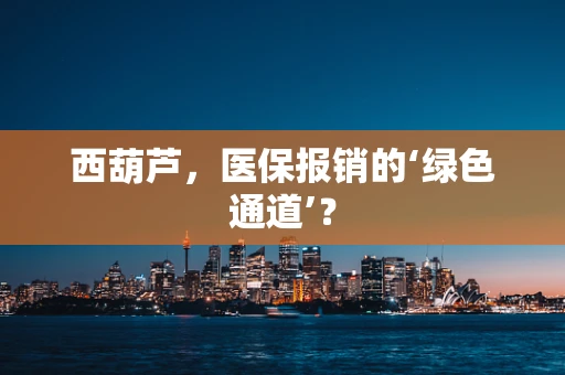 西葫芦，医保报销的‘绿色通道’？