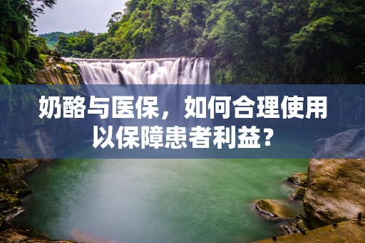 奶酪与医保，如何合理使用以保障患者利益？