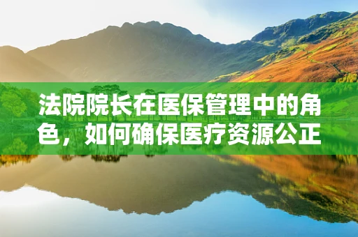 法院院长在医保管理中的角色，如何确保医疗资源公正分配？