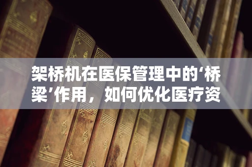 架桥机在医保管理中的‘桥梁’作用，如何优化医疗资源分配？