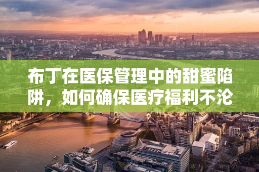 布丁在医保管理中的甜蜜陷阱，如何确保医疗福利不沦为‘甜品’？