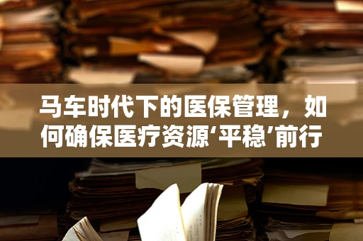 马车时代下的医保管理，如何确保医疗资源‘平稳’前行？
