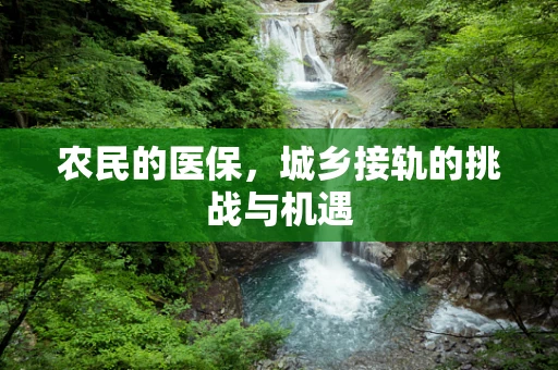 农民的医保，城乡接轨的挑战与机遇