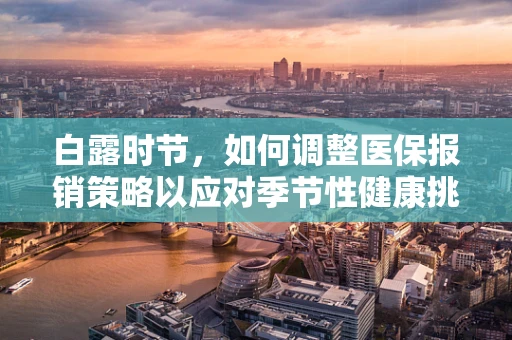 白露时节，如何调整医保报销策略以应对季节性健康挑战？