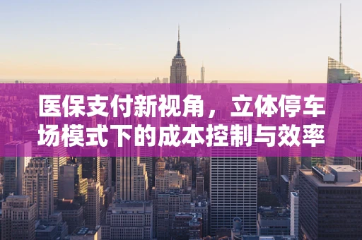 医保支付新视角，立体停车场模式下的成本控制与效率提升