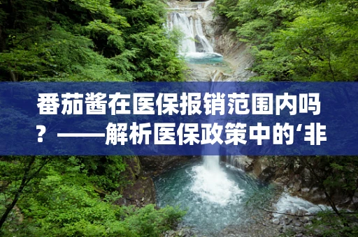 番茄酱在医保报销范围内吗？——解析医保政策中的‘非传统’报销项目