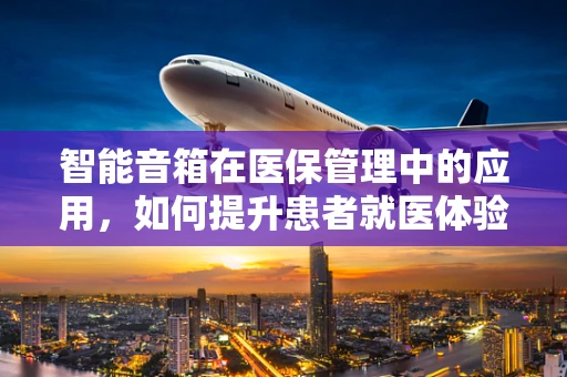 智能音箱在医保管理中的应用，如何提升患者就医体验？