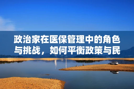 政治家在医保管理中的角色与挑战，如何平衡政策与民生的艺术？