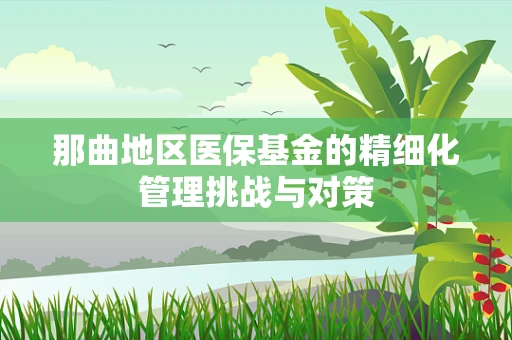 那曲地区医保基金的精细化管理挑战与对策