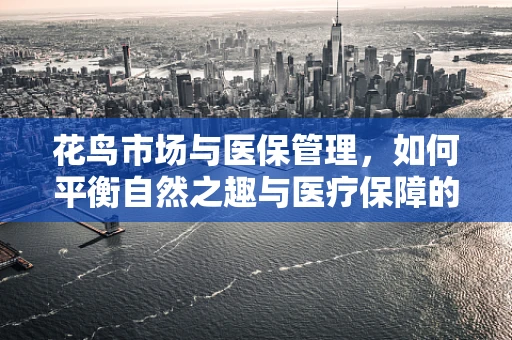 花鸟市场与医保管理，如何平衡自然之趣与医疗保障的和谐共生？
