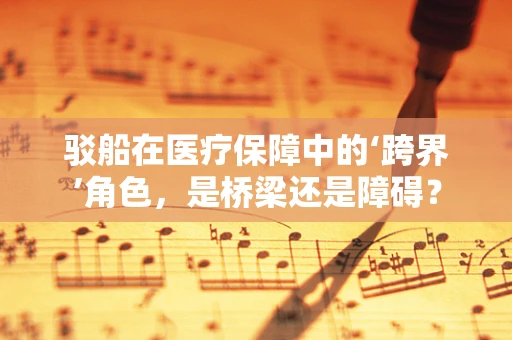 驳船在医疗保障中的‘跨界’角色，是桥梁还是障碍？