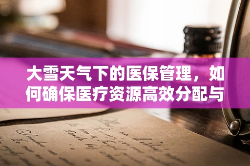 大雪天气下的医保管理，如何确保医疗资源高效分配与患者安全？