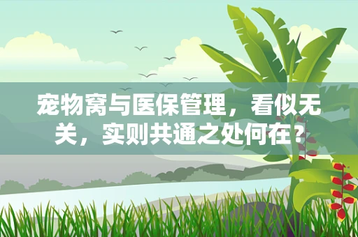 宠物窝与医保管理，看似无关，实则共通之处何在？