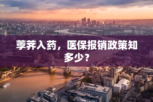 荸荠入药，医保报销政策知多少？