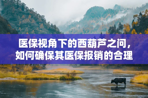 医保视角下的西葫芦之问，如何确保其医保报销的合理性与合规性？