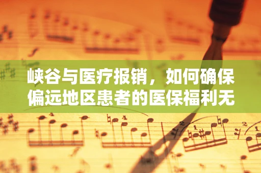 峡谷与医疗报销，如何确保偏远地区患者的医保福利无沟壑？