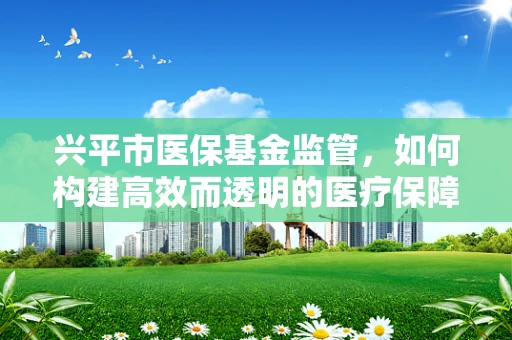 兴平市医保基金监管，如何构建高效而透明的医疗保障体系？