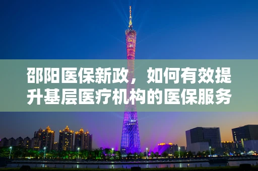 邵阳医保新政，如何有效提升基层医疗机构的医保服务效率？