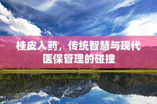 桂皮入药，传统智慧与现代医保管理的碰撞