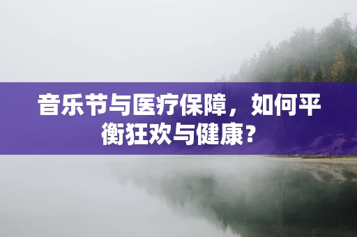 音乐节与医疗保障，如何平衡狂欢与健康？