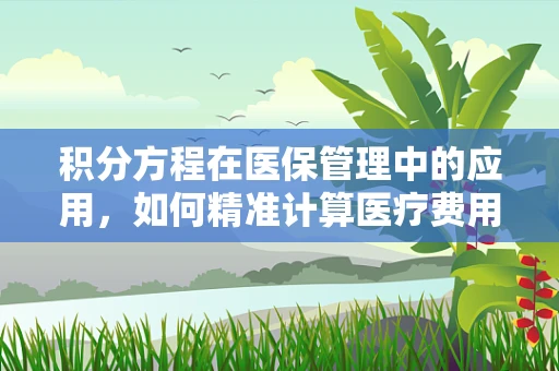 积分方程在医保管理中的应用，如何精准计算医疗费用？